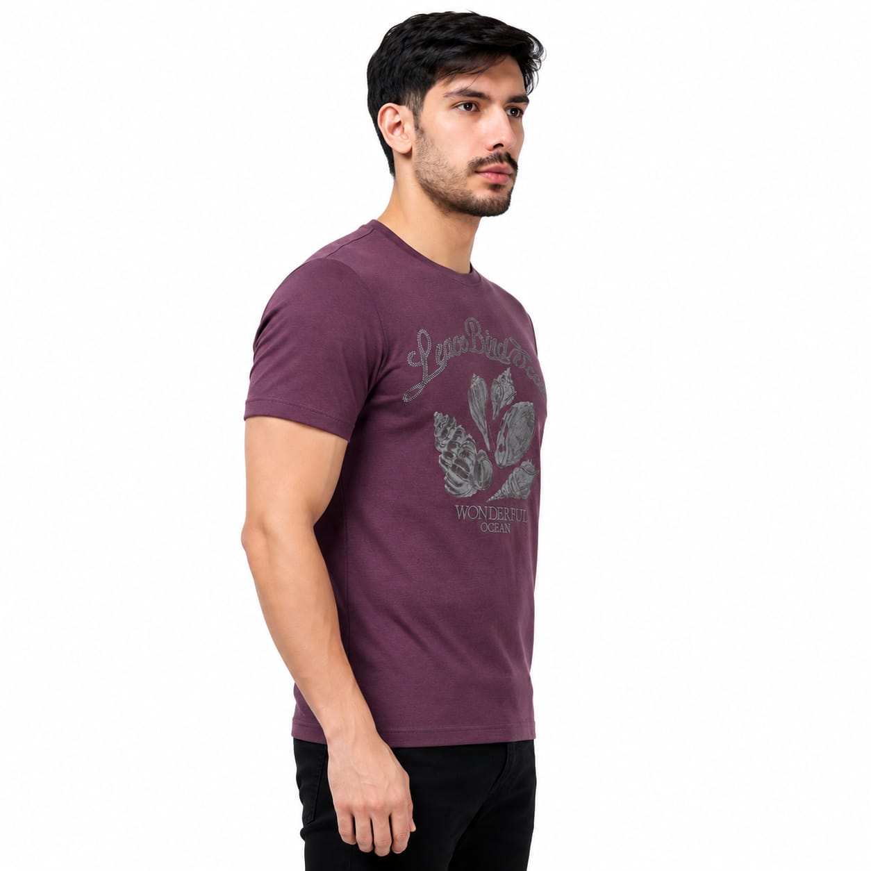 MENOLOGY Men's Round Neck Half Sleeve Graphic Printed T-Shirt | Holistic Collection | Imported Canvas Fabric | Regular Fit | Wine