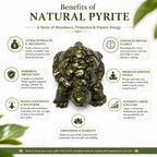 ANS BILLION Natural Pyrite Tortoise for Home &amp; Office Decor