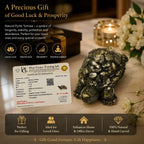 ANS BILLION Natural Pyrite Tortoise for Home &amp; Office Decor